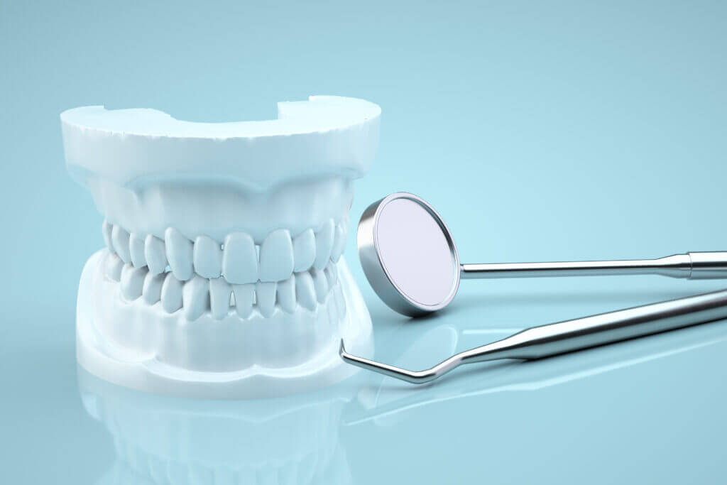 歯の模型とデンタルミラー